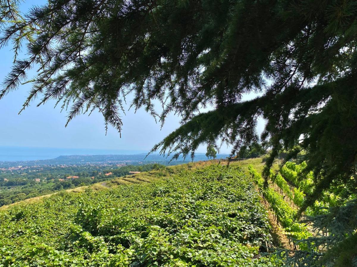 Tenuta Kiwi Dell'Etna Milo Eksteriør bilde