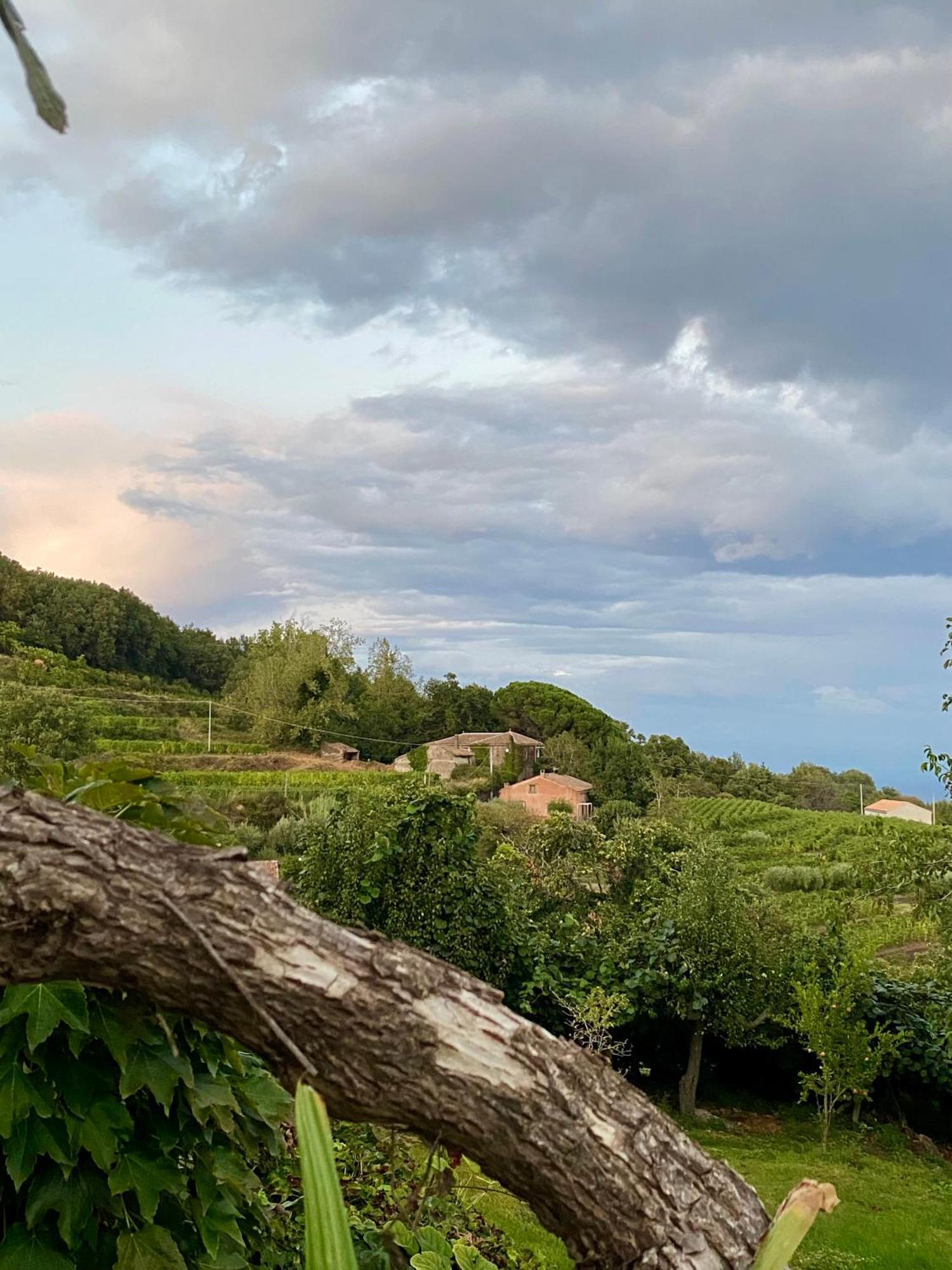 Tenuta Kiwi Dell'Etna Milo Eksteriør bilde